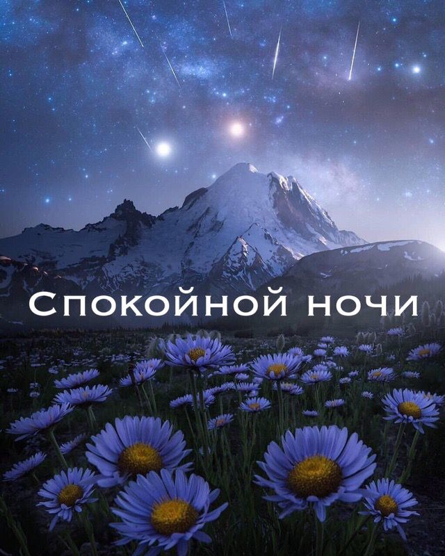 Спокойной ночи