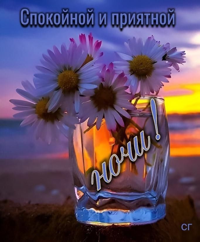 Спокойной и приятной ночи!