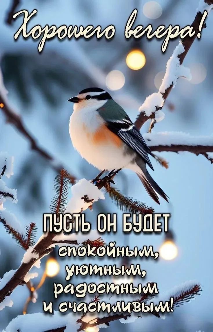 Хорошего вечера! Пусть он будет спокойным, уютным, радостным и счастливым!