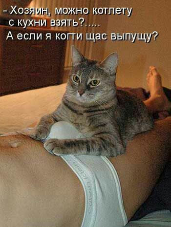 мпжно котлету с ЮХНИ ваять А еспи я копи щас выпущу за