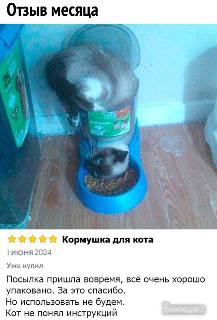 Кормушка для кота июня 20 Уже купил Посылка пришла вовремя всё очень хорошо упаковано За это спасибо Но использовать не будем Кот не понял инструкций