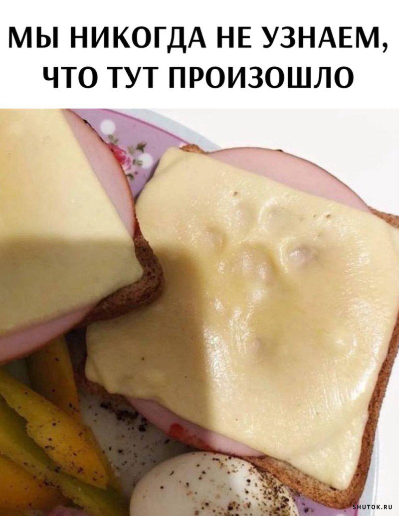 МЫ НИКОГДА НЕ УЗНАЕМ ЧТО ТУТ ПРОИЗОШЛО