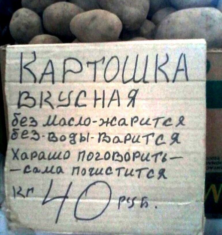 КАРТОШКА РАЧСНАЯ де Мосло жолдсте й Воды Рорит Я Харашо ПогоР0РиТ ВАЦ пожшетитея МАОБ