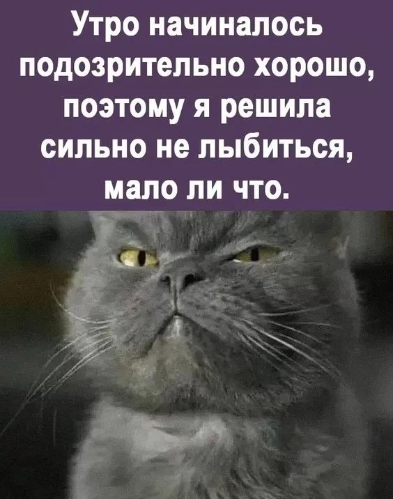 Утро начиналось подозрительно хорошо поэтому я решила сильно не лыбиться мало ли что у и Е