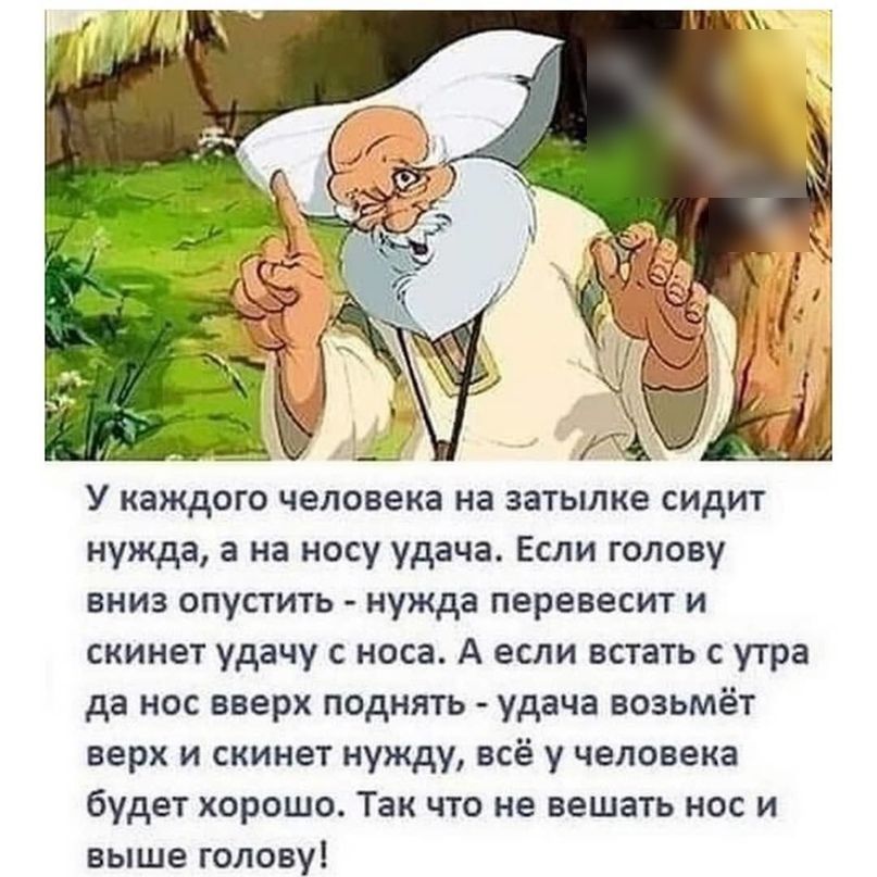 У каждого человека на затылке сидит нужда а на носу удача Если голову вниз опустить нужда перевесит и скинет удачу с носа А если встать с утра да нос вверх поднять удача возьмёт верх и скинет нужду всё у человека будет хорошо Так что не вешать нос и выше голову