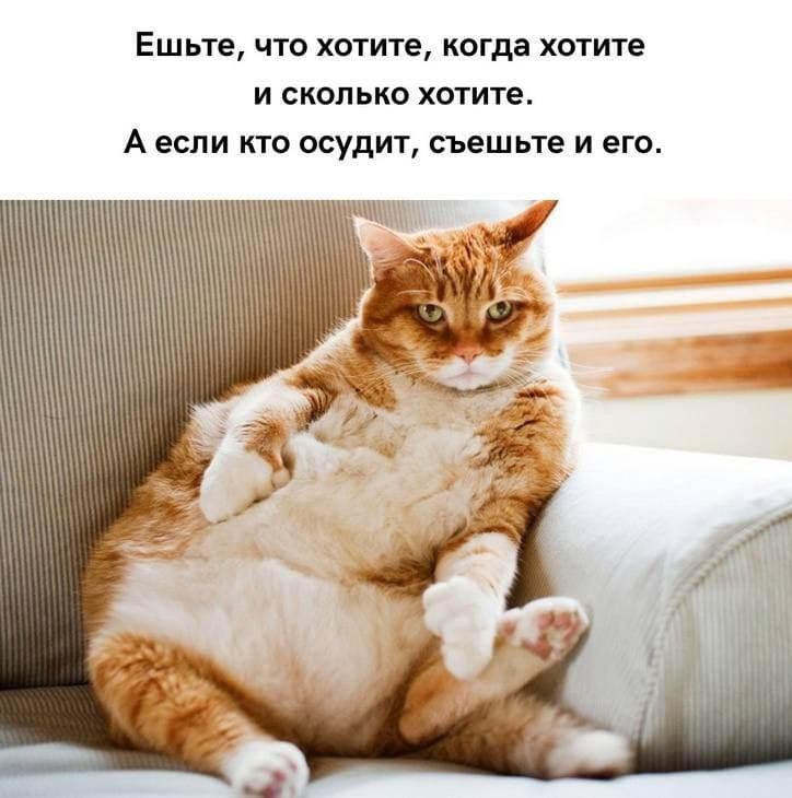 Ешьте, что хотите, когда хотите и сколько хотите. А если кто осудит, съешьте и его.