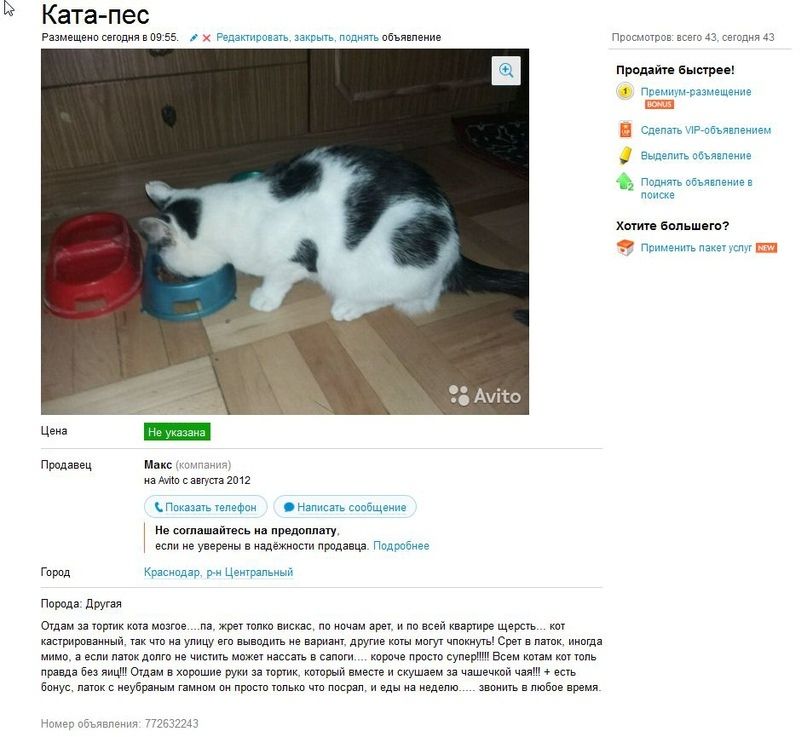 Кота-пес
Цена
Не указываем
Продавец
Макс (пользователь)
С Авито с августа 2012
Город
Продаю Друг

Здравствуйте! У меня кот. Живет тихо и невидимо, но всегда рядом, и если где-то выдет, то только на запах еды, или просто чтобы погладили. Он игривый и контактный, знает несколько команд. Понимает, когда зовут. Очень хороший друг и компаньон. Для тех, кто ищет пушистого друга для дома.

Пишите на авито или звоните!
77321323