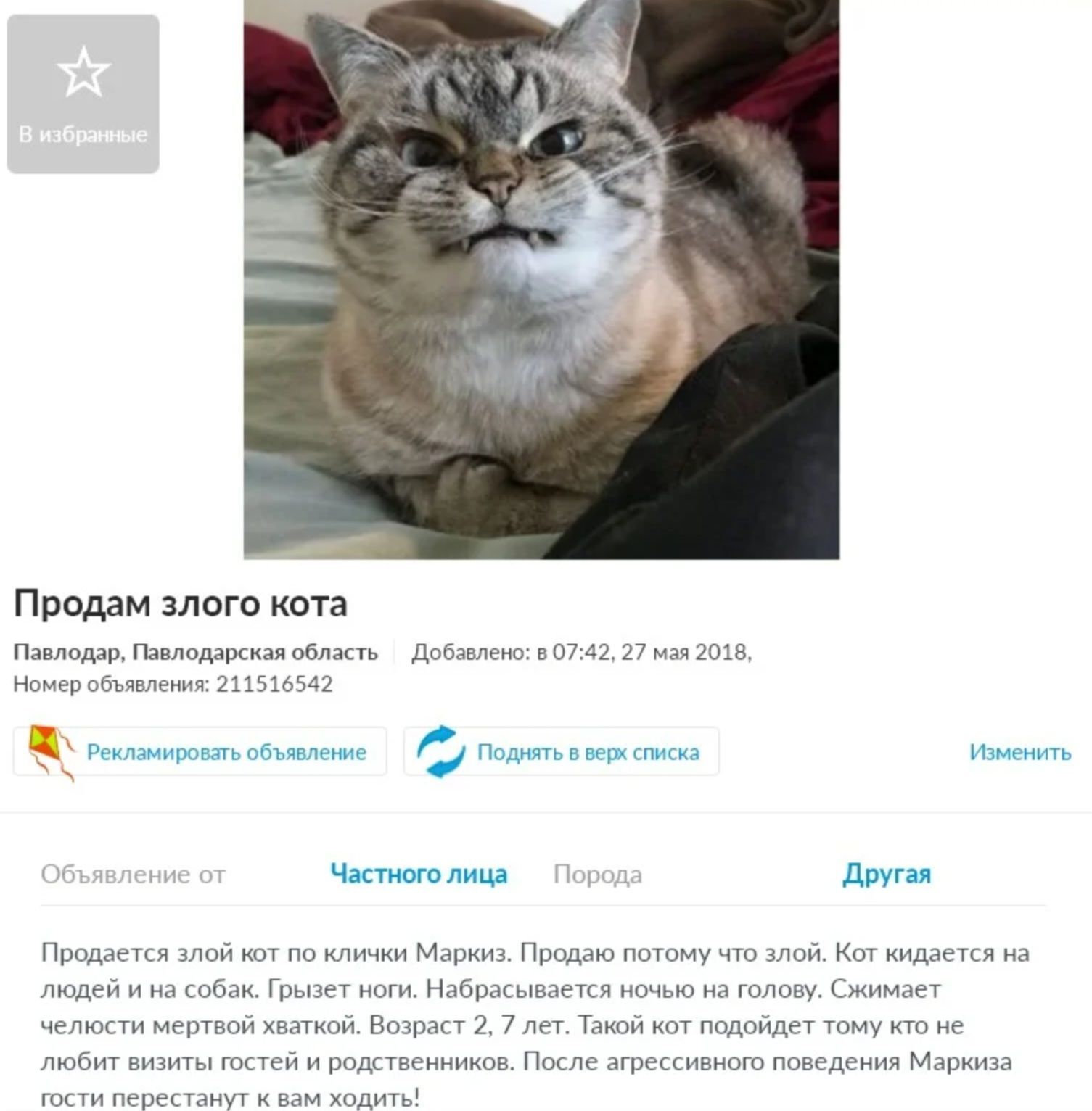 Продается злой кот по кличке Маркиз. Продаю потому что злой. Кот кидается на людей и на собак. Грызет ногти. Набрасывается ночью на голову. Снимает челочки мертвых животных. Возраст 2.7 лет. Такой кот подойдет тому кто не любит вытаскивать гостей из норки. Пусть агрессивное поведение Маркиза гости перестанут терпеть и камень любви.