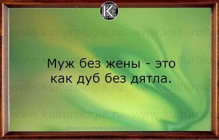 Муж без жены это как дуб без дятла