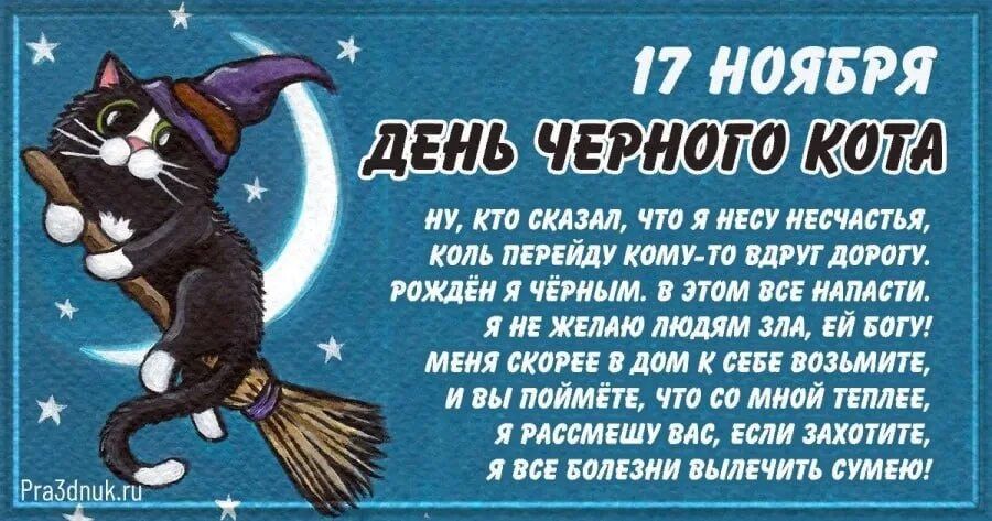 17 НОЯБРЯ День Черного кота\nНу, кто сказал, что я несу несчастья, коль перейду кому–то вдруг дорогу. Рожден я чёрным. В этом всё напасти. Я не желаю людям зла, если меня скорей в дом к себе возьмёте, и вы поймёте, что со мной теплее, я рассмешу вас, если захотите, я все болезни вылечу сумею!