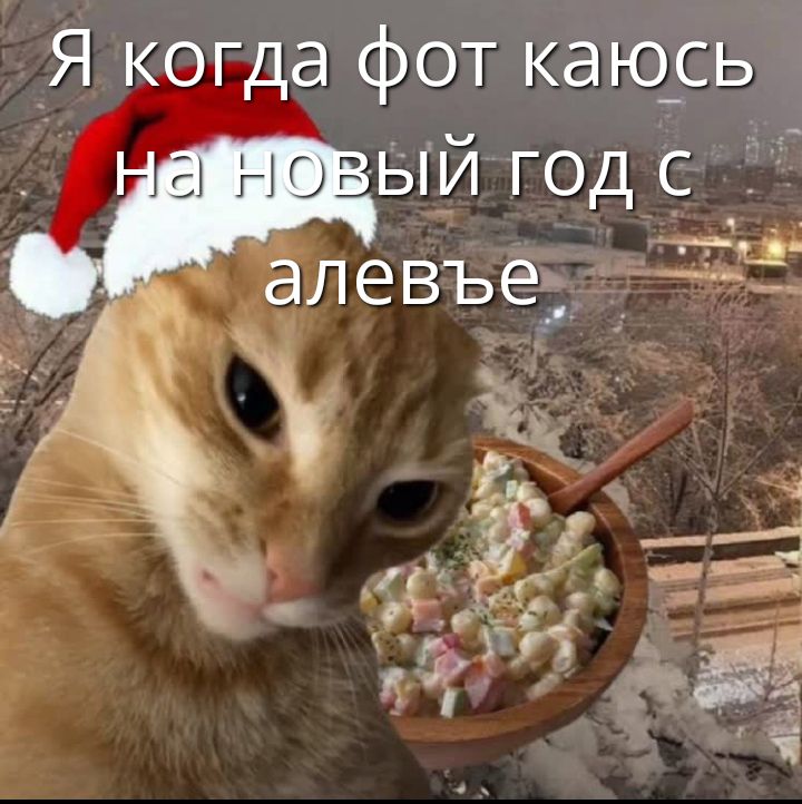 Я когда фот каюсь