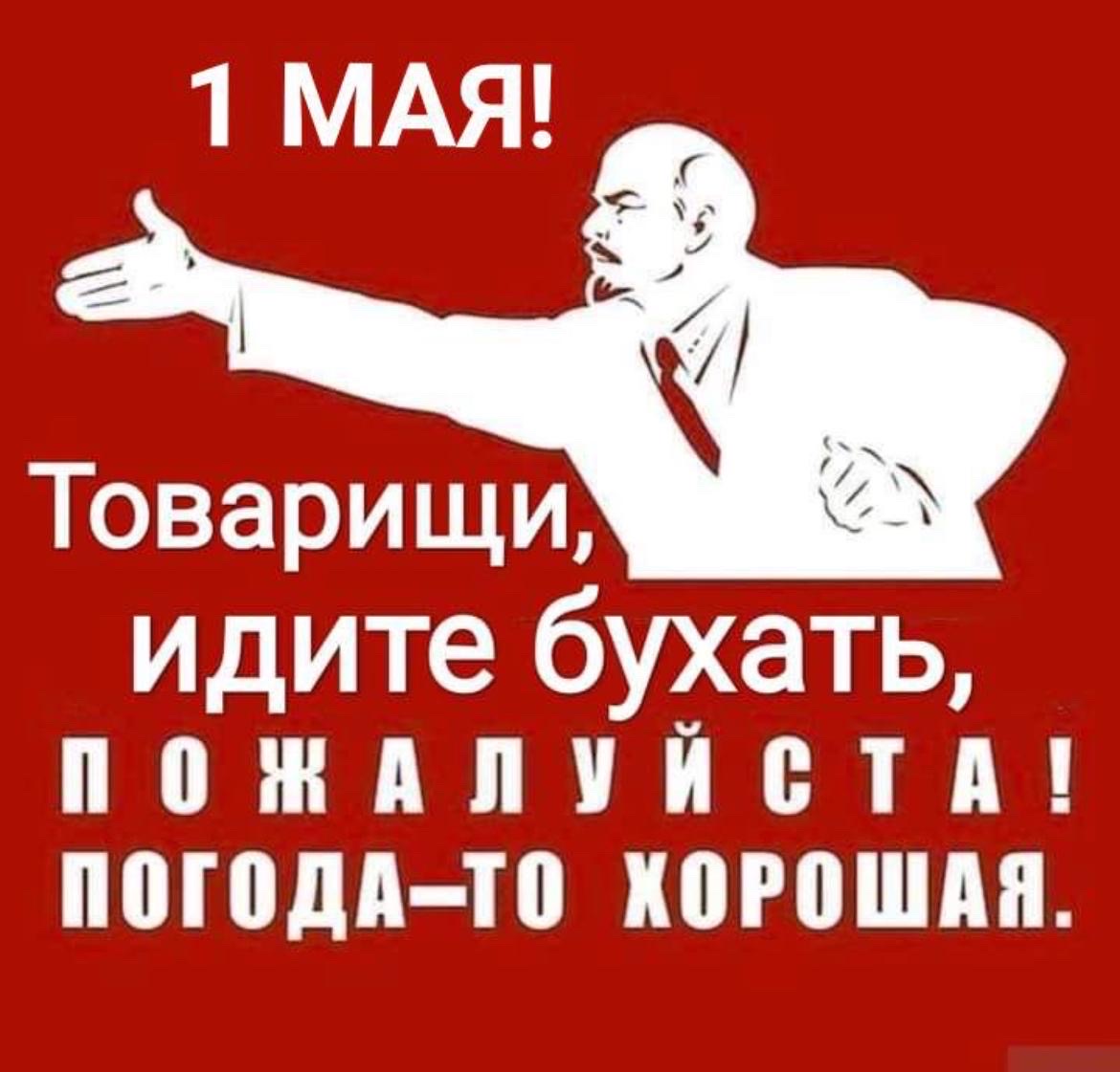 1 МАЯ! Товарищи, идите бухать, пожалуйста! Погода-то хорошая.