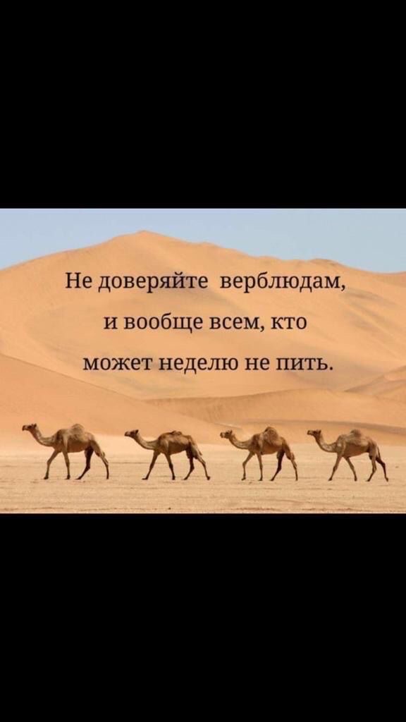 Не доверяйте верблюдам, и вообще всем, кто может неделю не пить.