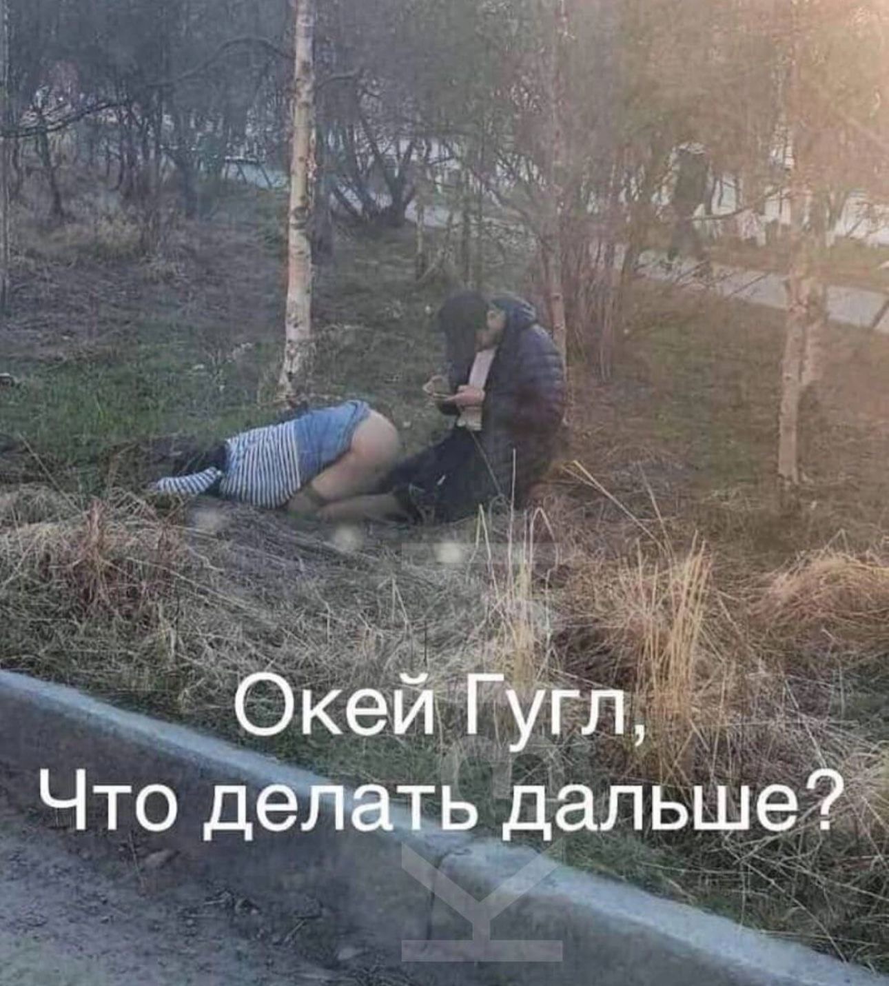 Окей Гугл, Что делать дальше?