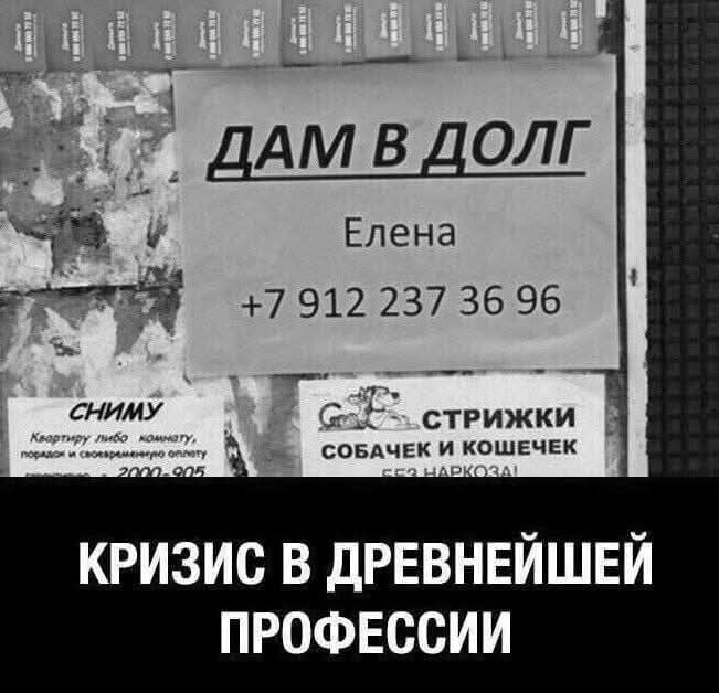 ДАМ В ДОЛГ
Елена
+7 912 237 36 96
КРИЗИС В ДРЕВНЕЙШЕЙ ПРОФЕССИИ
