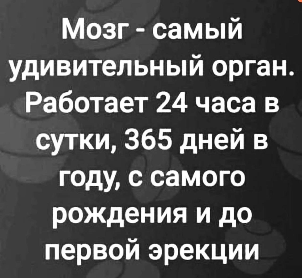 Мозг - самый удивительный орган. Работает 24 часа в сутки, 365 дней в году, с самого рождения и до первой эреции.