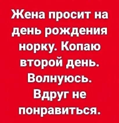 Жена просит на день рождения норку. Копаю второй день. Волнуюсь. Вдруг не понравиться.