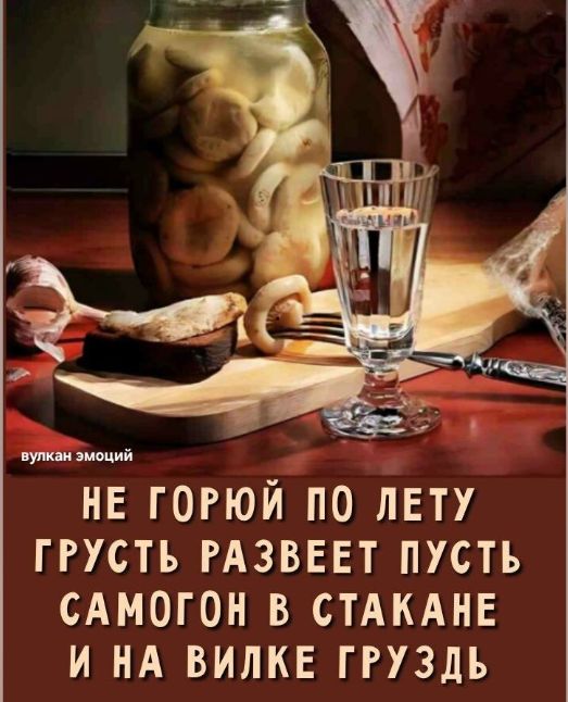 НЕ ГОРЮЙ ПО ЛЕТУ ГРУСТЬ РАЗВЕЕТ ПУСТЬ САМОГОН В СТАКАНЕ И НА ВИЛКЕ ГРУЗДЬ