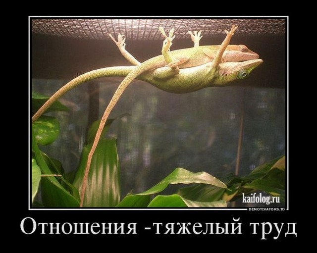 Отношения тяжелый труд
