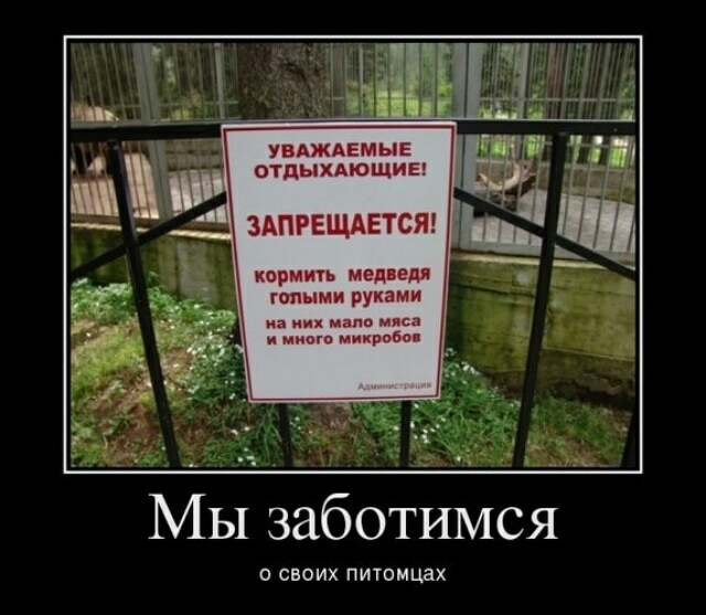 УВАЖАЕМЫЕ ОТПЫХАЮЩИЕ ЗАПРЕЩАЕТСЯ кормить медведя голыми руками из их мало мяса и много микробо Мы заботимся о своих питомцах