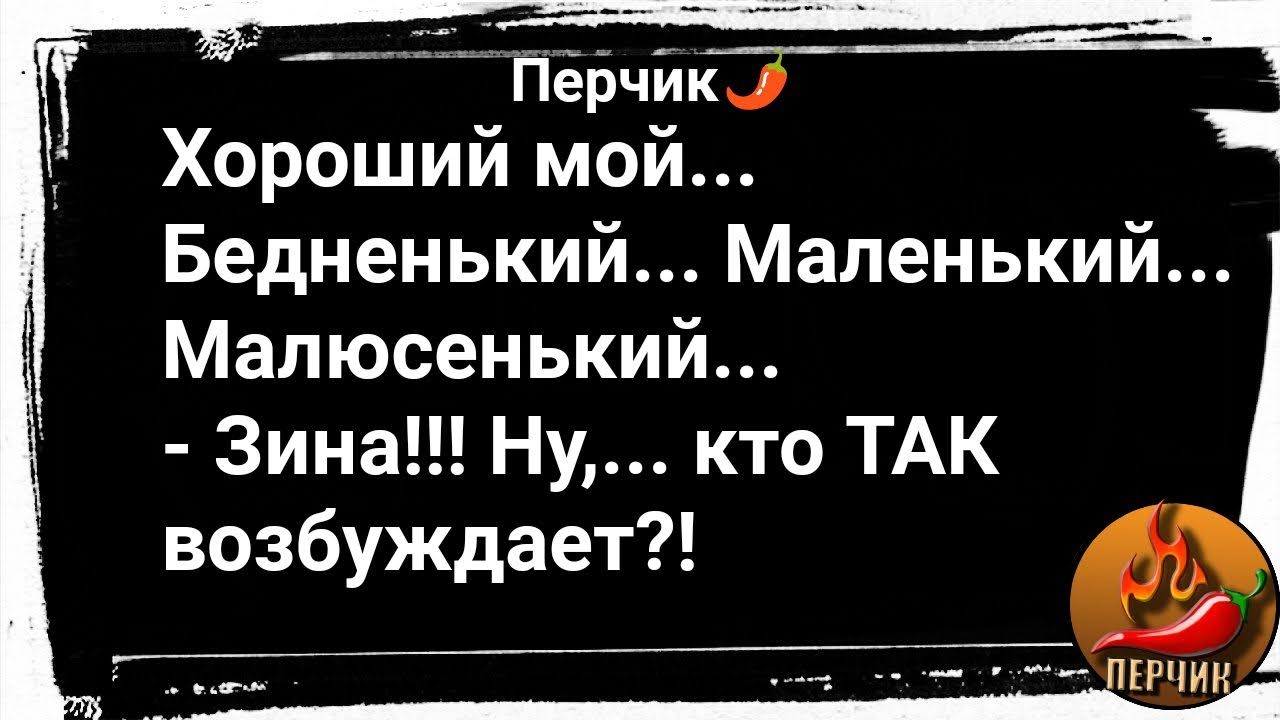 дтгмицц перчик Хороший мой Бедненький Маленький Малюсенький Зина Ну кто ТАК возбуждает 7_ _НЖ даМ