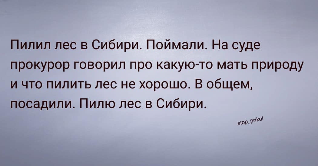 Пилил лес в Сибири Поймали На суде прокурор говорил про какую то мать природу и что пилить лес не хорошо В общем посадили Пилю лес в Сибири этом