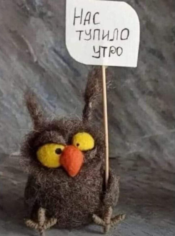 Нас тупило утро