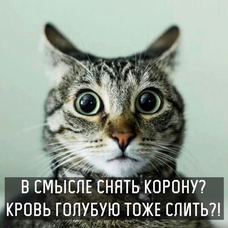 В смысле снять корону? Кровь голубую тоже слить?!