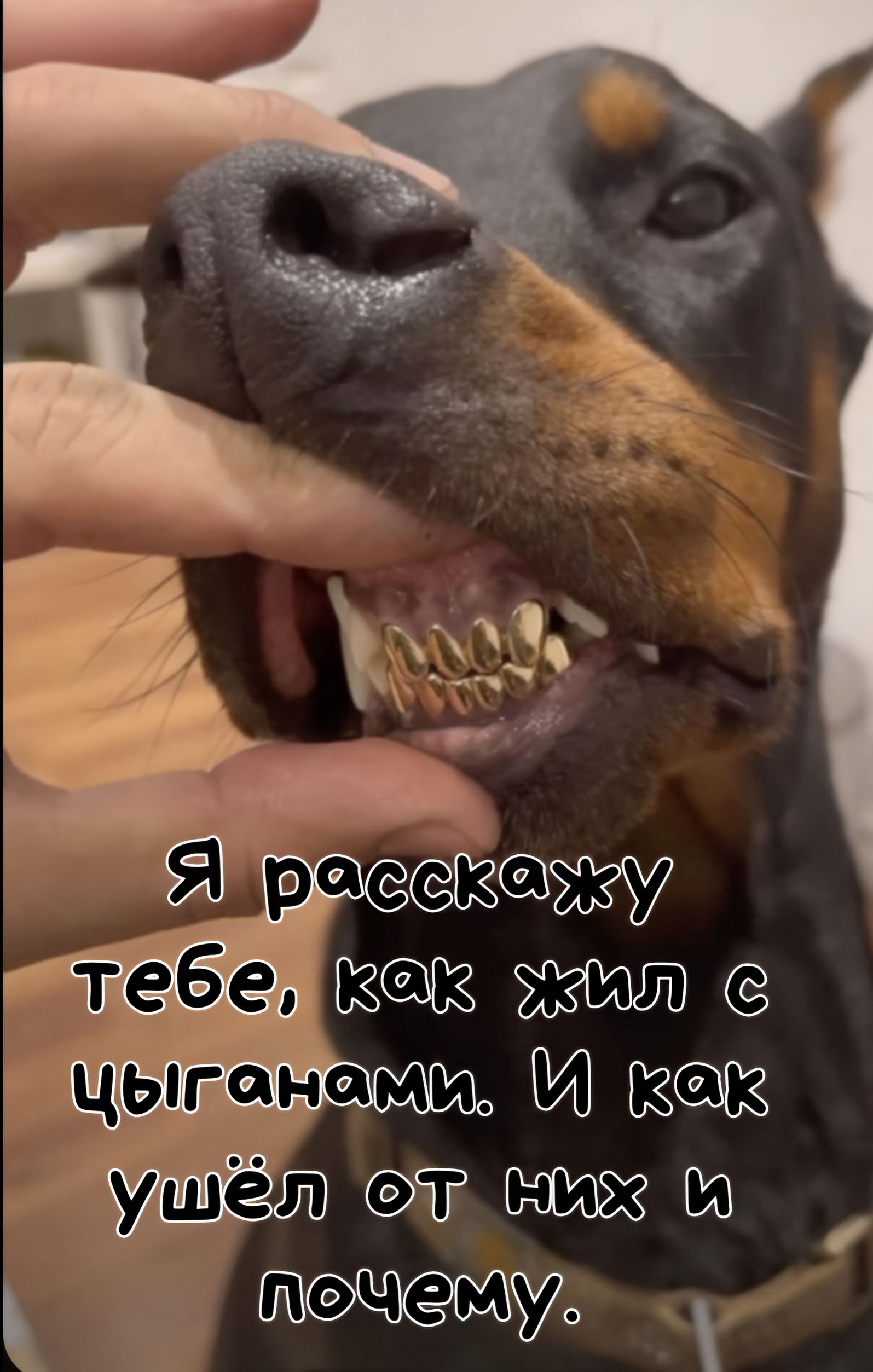 Я расскажу тебе, как жил с цыганами. И как ушёл от них и почему.