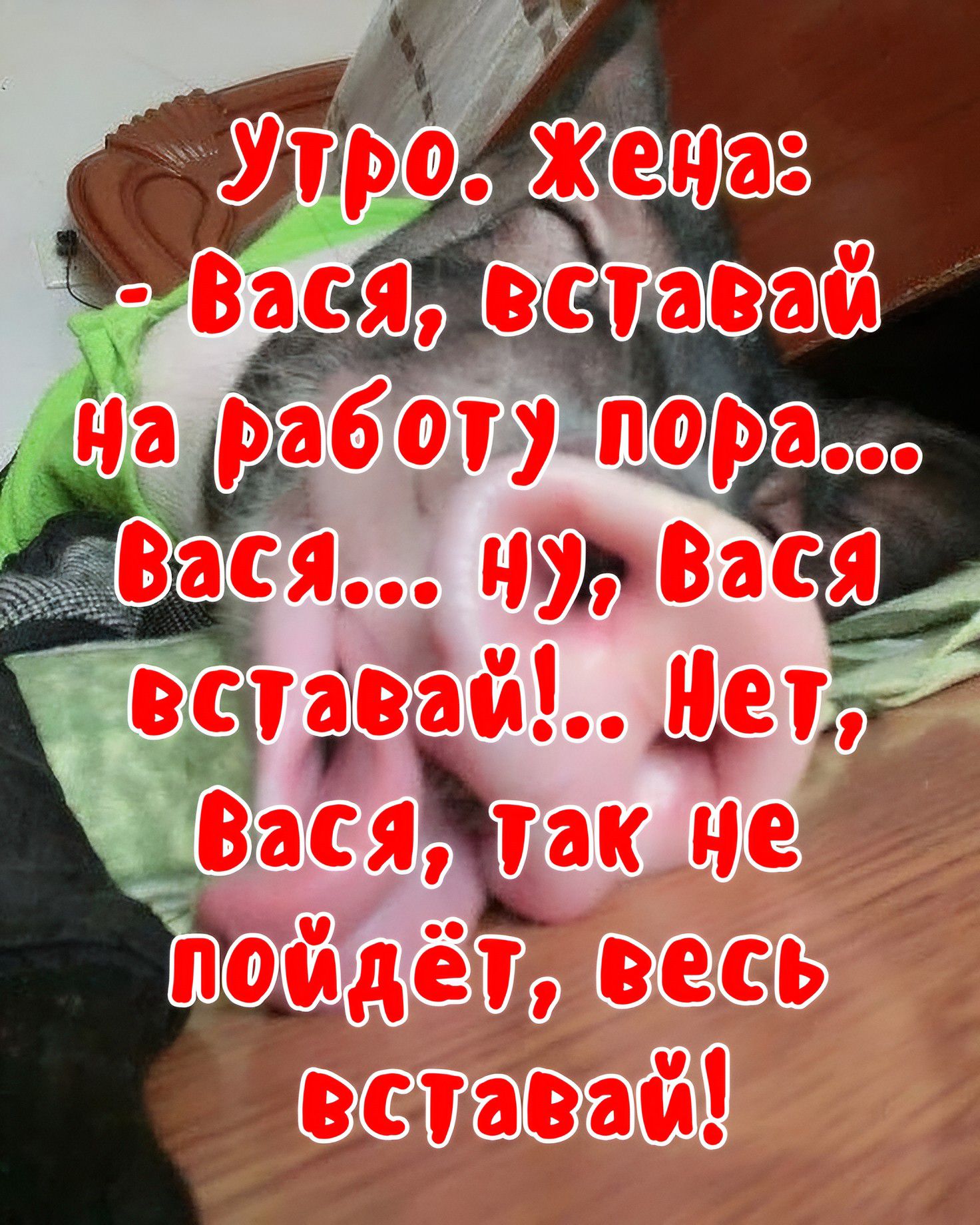 Утро, жена: - Вася, вставай на работу пора... Вася... ну, Вася вставай!.. Нет, Вася, так не пойдёт, весь вставай!