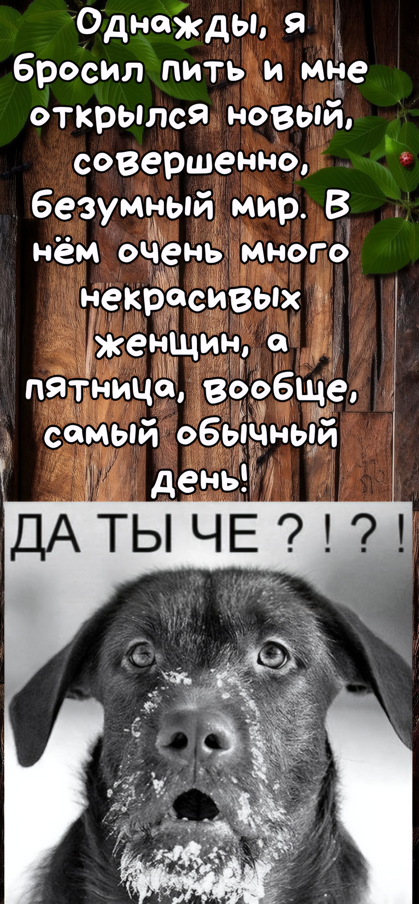 Однажды, я бросил пить и мне открылся новый, совершенно, безумный мир. В нём очень много некрасивых женщин, а пятница, вообще, самый обычный день!
ДА ТЫ ЧЕ ?!?!