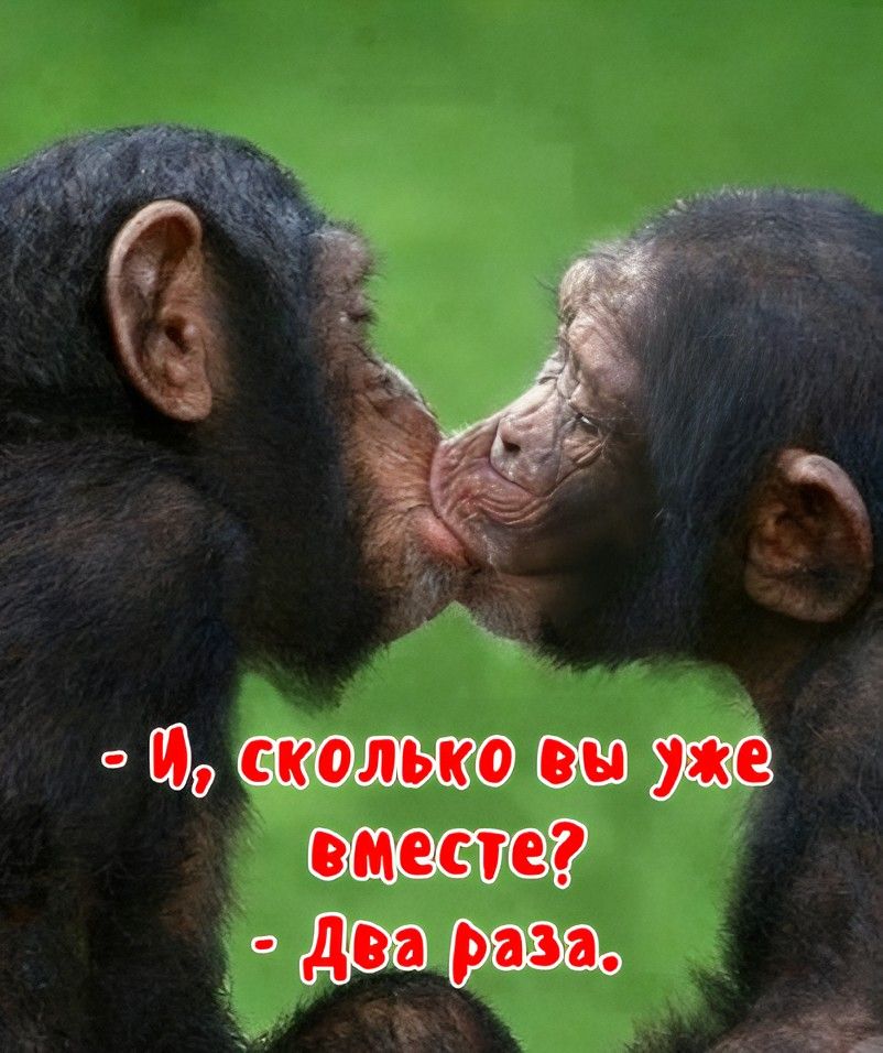 - И, сколько вы уже вместе? - Два раза.