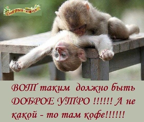 ВОТ ТАКИМ ДОЛЖНО БЫТЬ ДОБРОЕ УТРО !!!!!! А НЕ КАКОЙ - ТО ТАМ КОФЕ!!!!!!