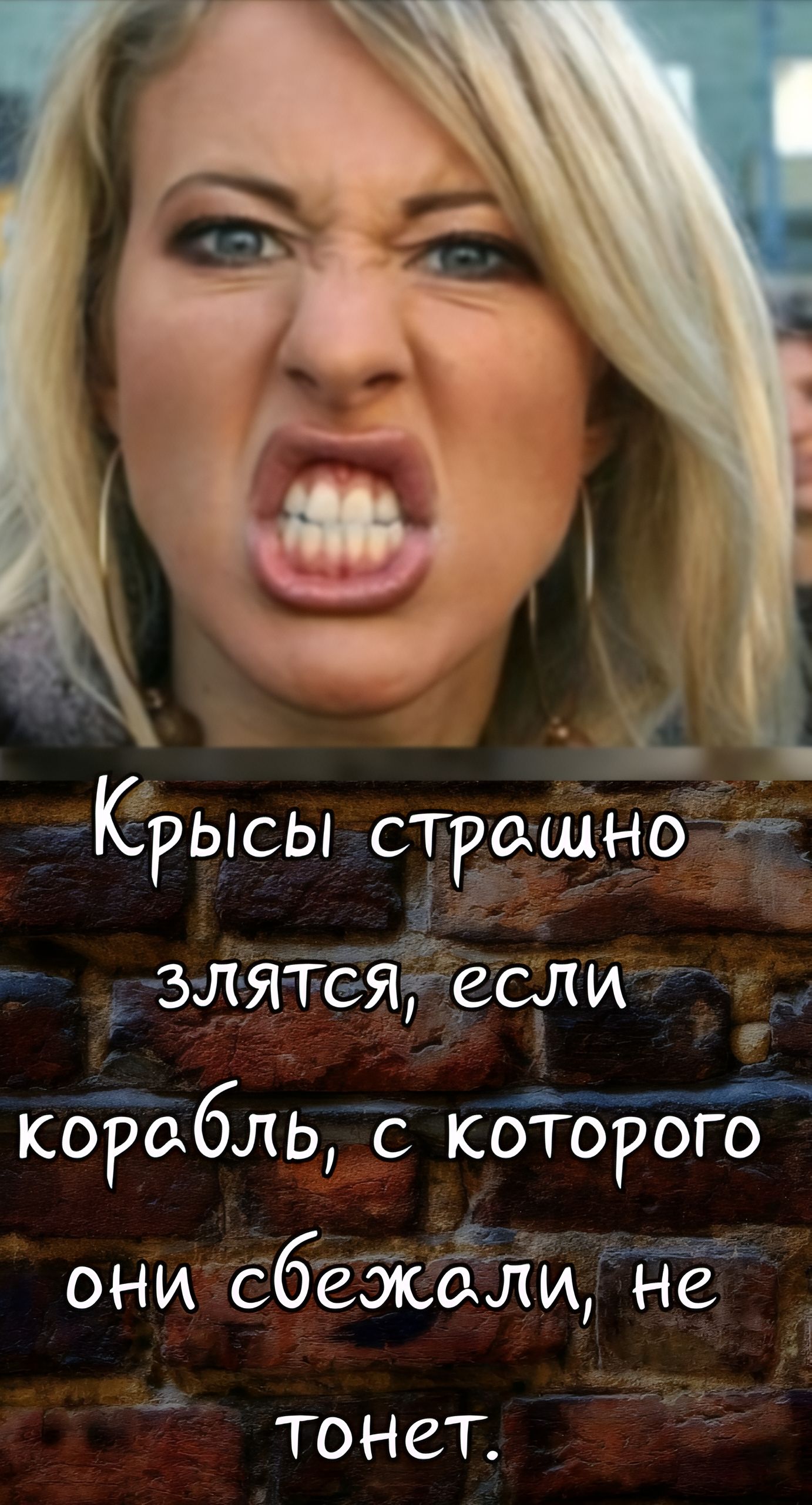 Крысы страшно злятся, если корабль, с которого они сбежали, не тонет.