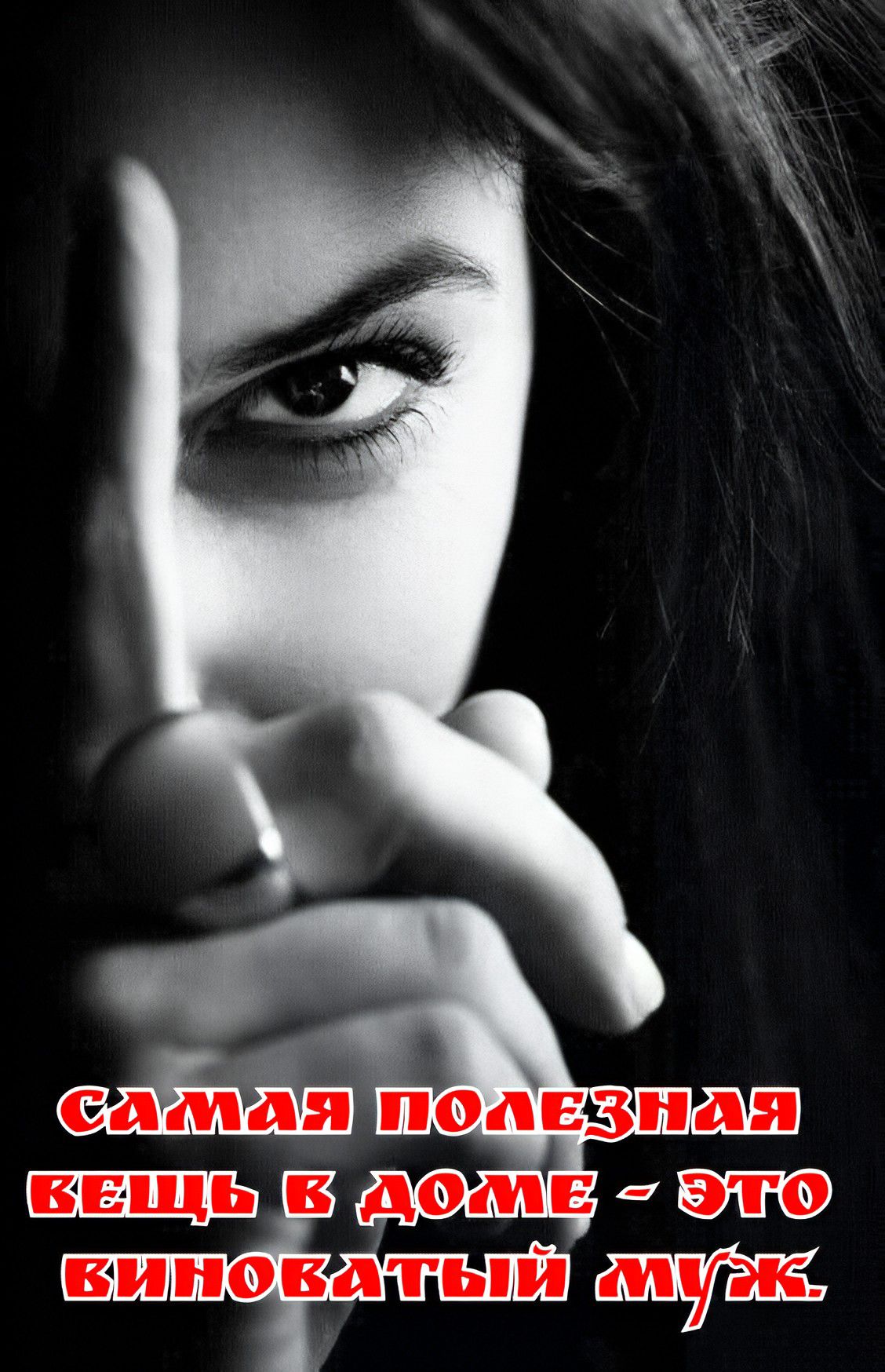 САМАЯ ПОЛЕЗНАЯ ВЕЩЬ В ДОМЕ - ЭТО ВИНОВАТЫЙ МУЖ.