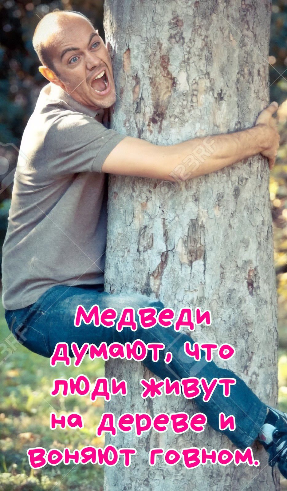 Медведи думают, что люди живут на дереве и воняют говном.