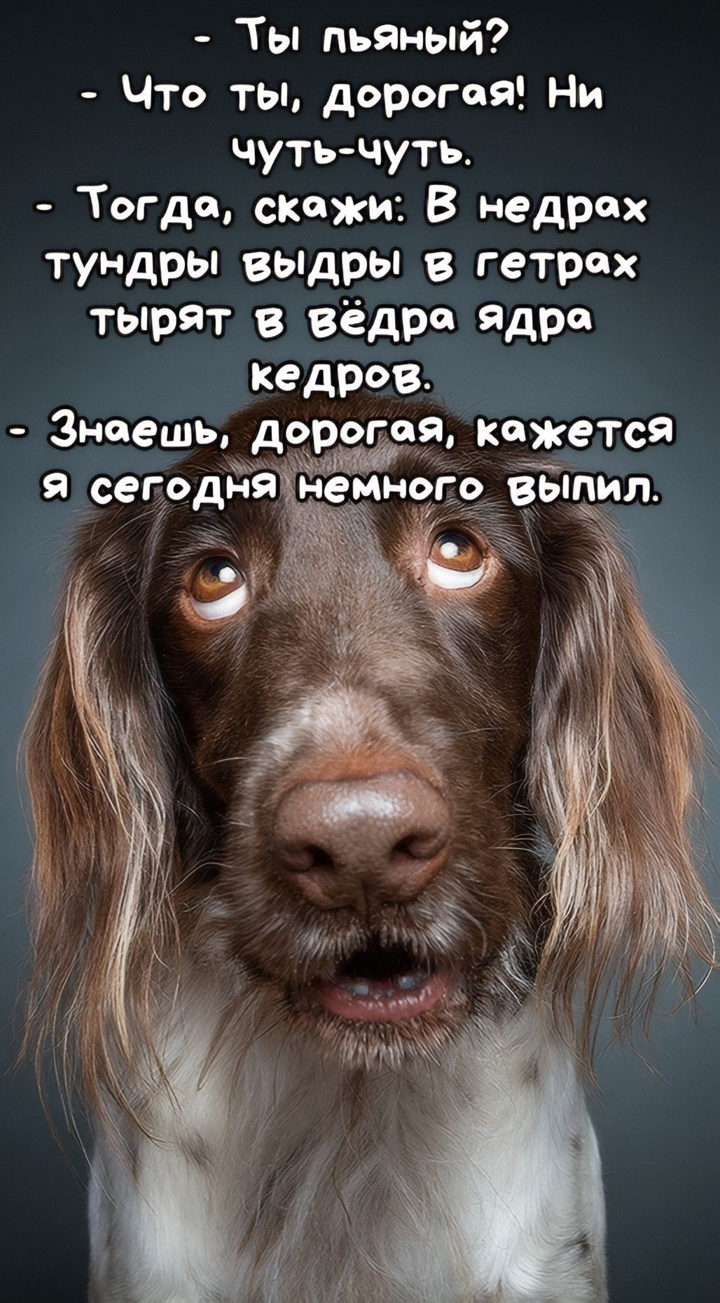 - Ты пьяный?
- Что ты, дорогая! Ни чуть-чуть.
- Тогда, скажи: В недрах тундры выдры в гетрах тырят в ведра ядра кедров.
- Знаешь, дорогая, кажется я сегодня немного выпил.