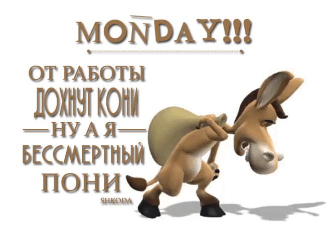 MONDAY!!!
ОТ РАБОТЫ ДОХНУТ КОНИ
НУ А Я БЕСМЕРТНЫЙ ПОНI
