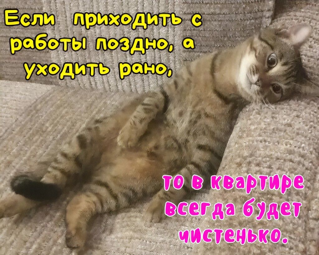 Если приходить с работы поздно, а уходить рано, то в квартире всегда будет чистенько.