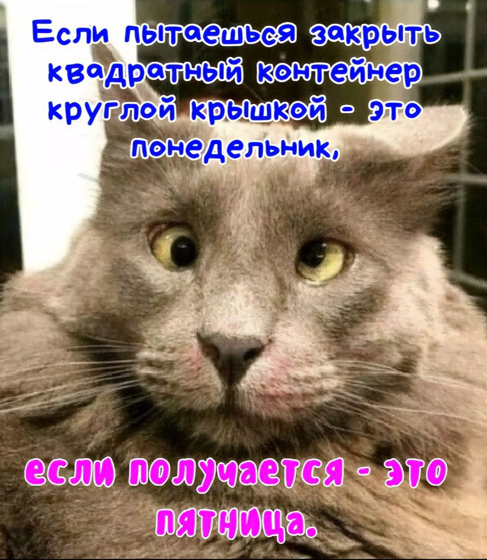 Если пытаешься закрыть квадратный контейнер круглой крышкой - это понедельник,
если получается - это пятница.