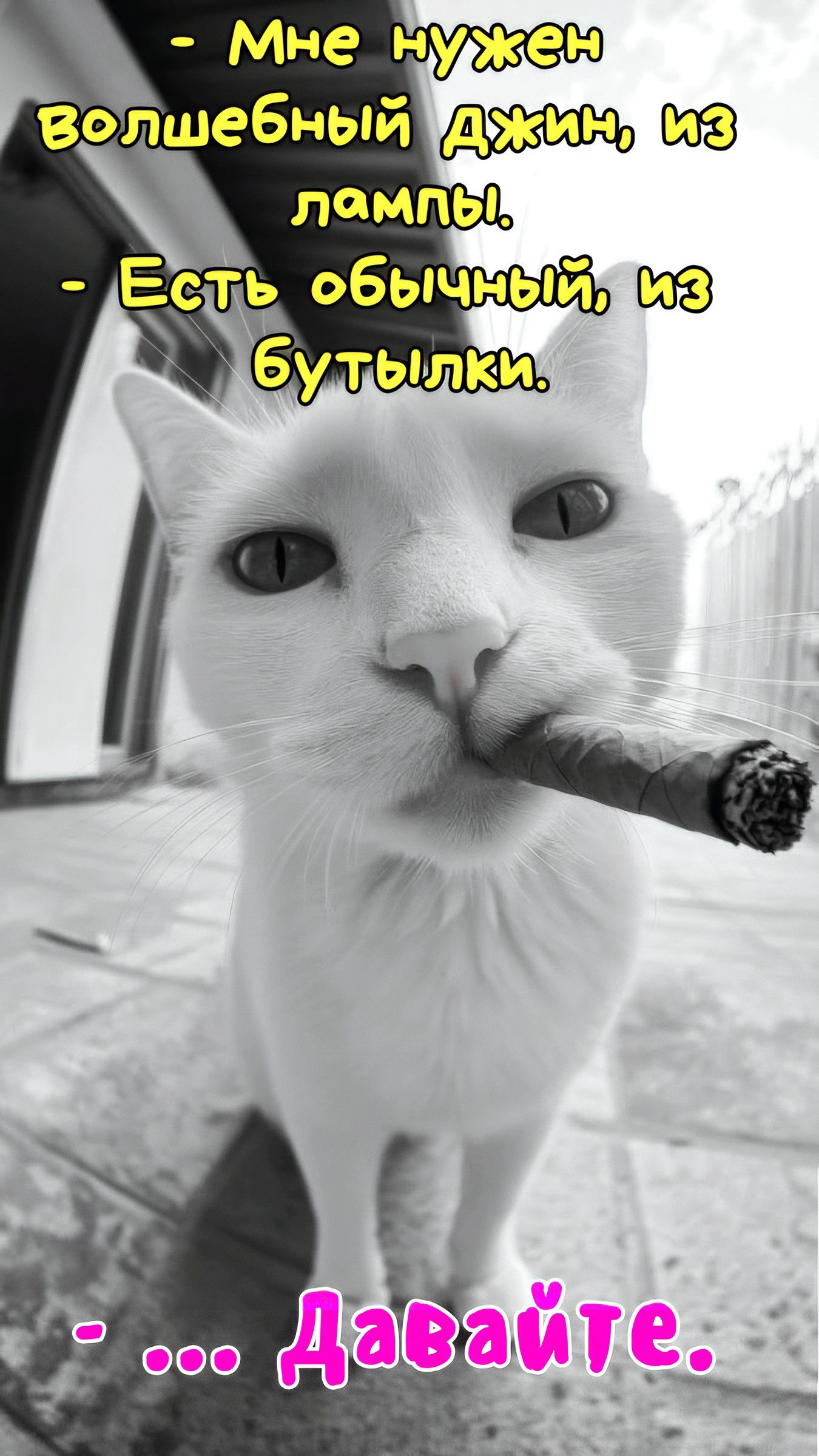 - Мне нужен волшебный джин, из лампы.
- Есть обычный, из бутылки.
- ... Давайте.