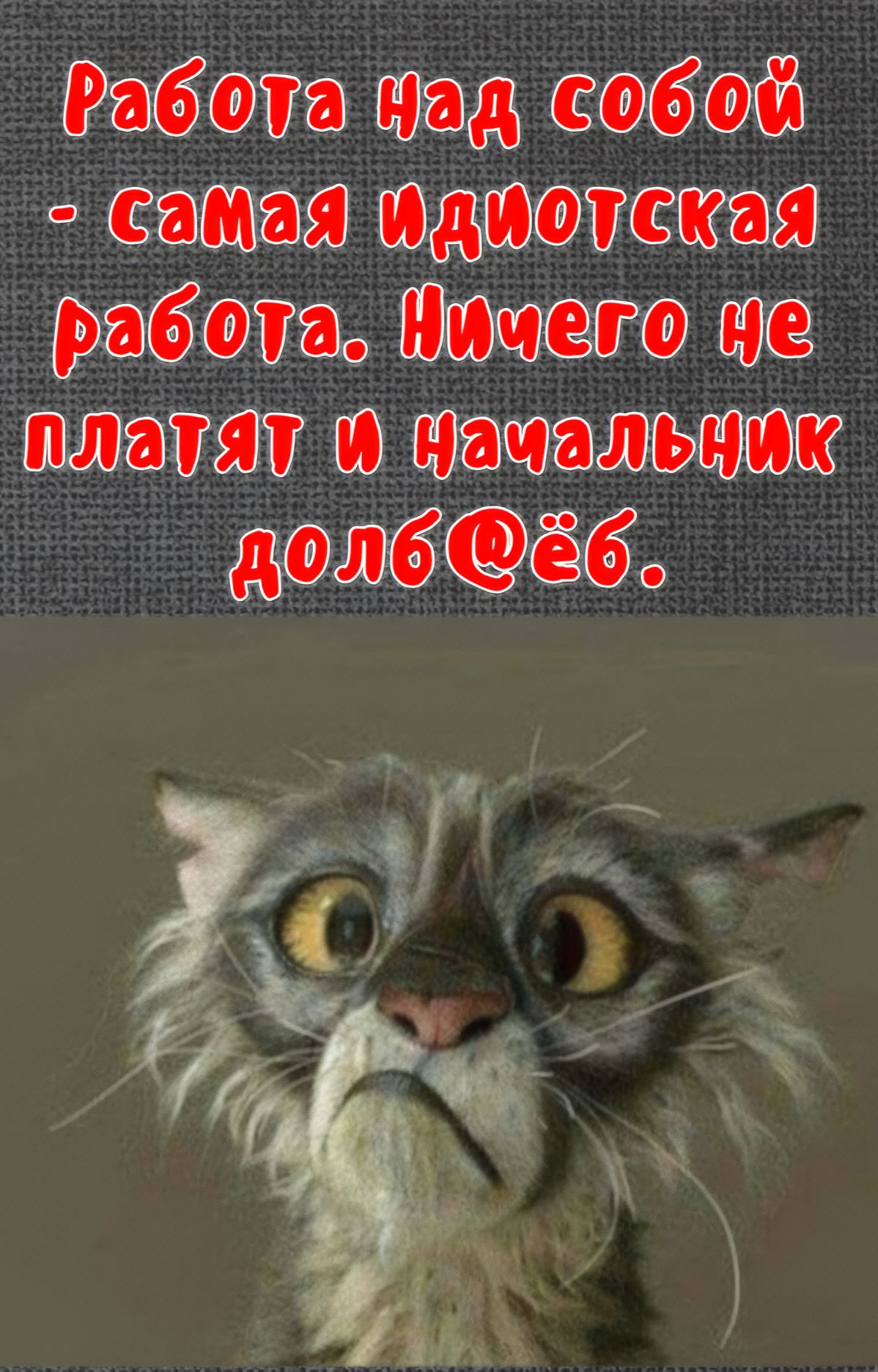 Работа над собой - самая идиотская работа. Ничего не платят и начальник долб@ёб.