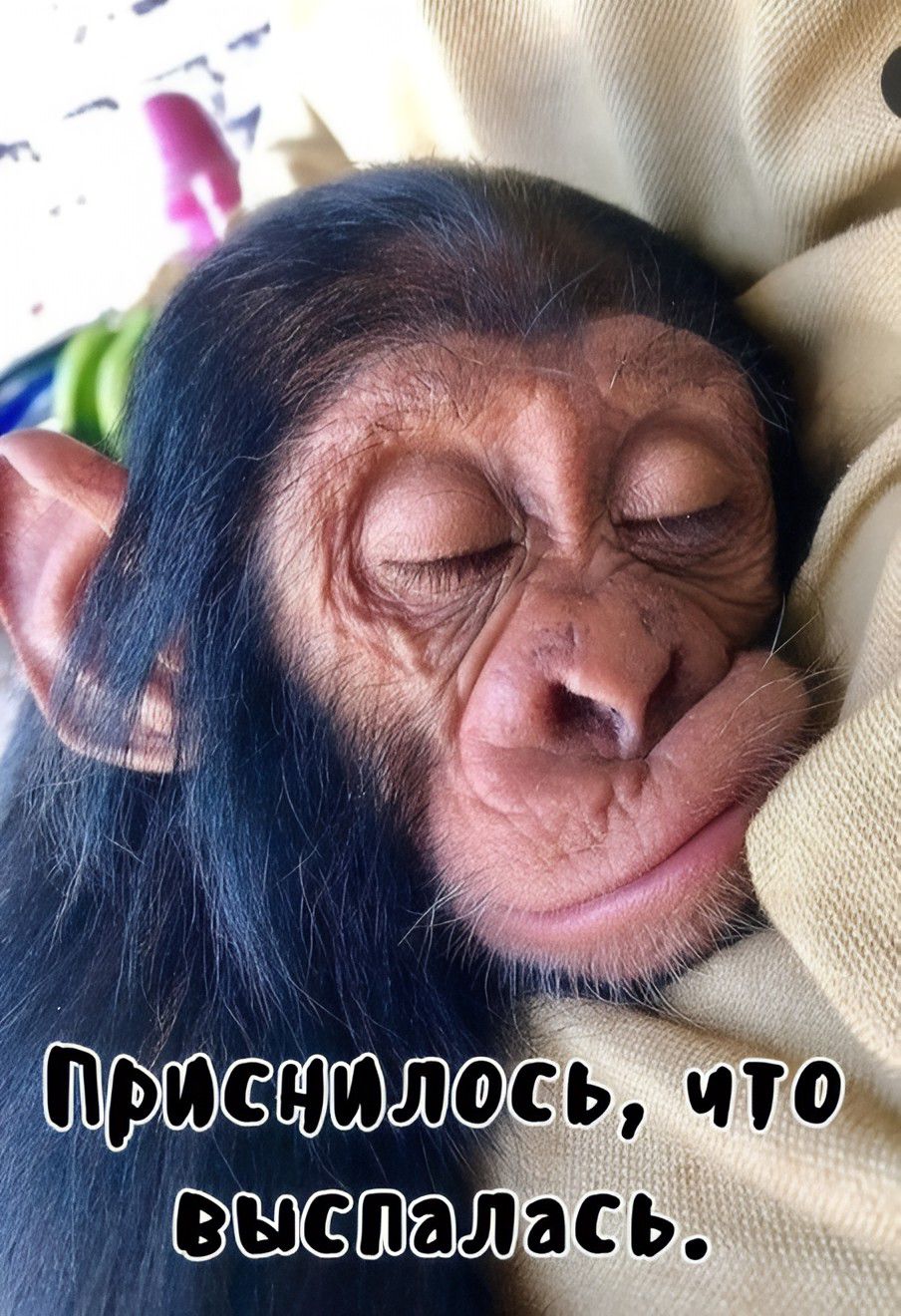 Приснилось, что выспалась.