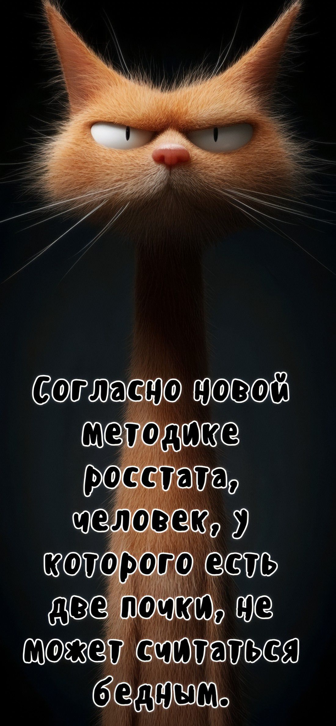 Согласно новой методике росстата, человек, у которого есть две почки, не может считаться бедным.