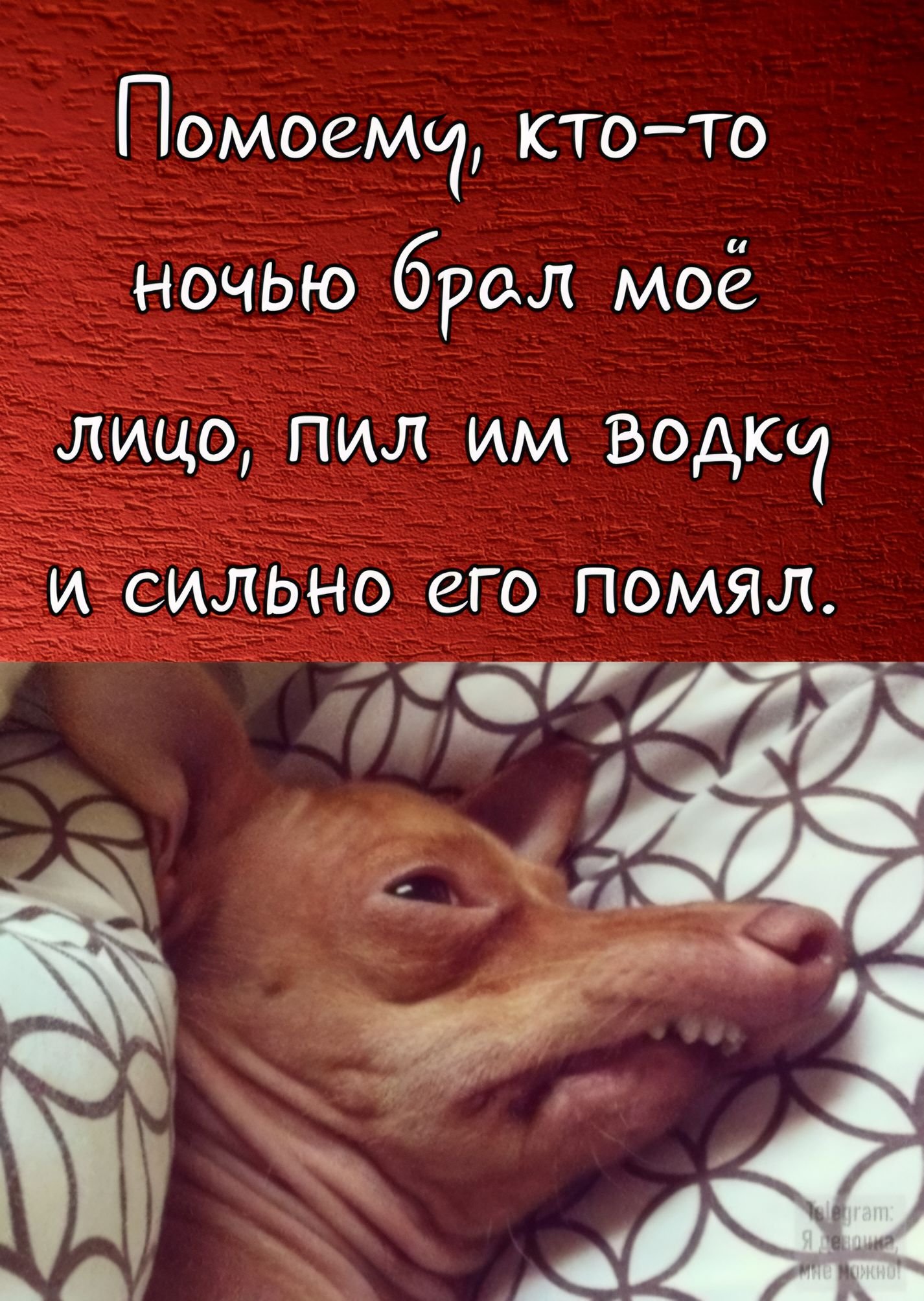 Помоему, кто-то ночью брал мое лицо, пил им водку и сильно его помял.