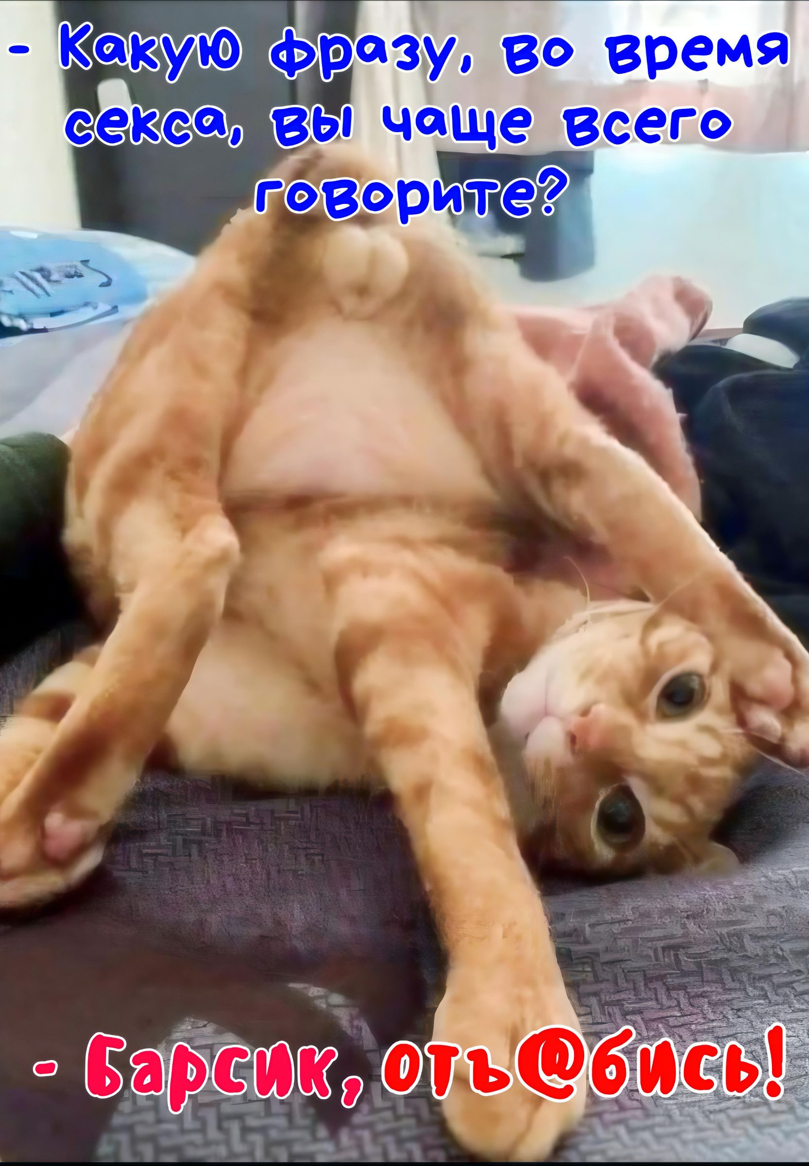 - Какую фразу, во время секса, вы чаще всего говорите?
- Барсик, отьбись!