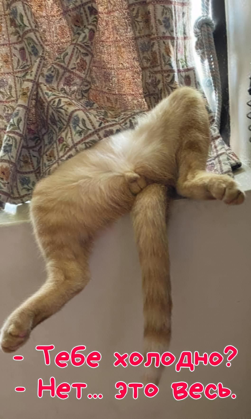 - Тебе холодно? - Нет.. Это весь.