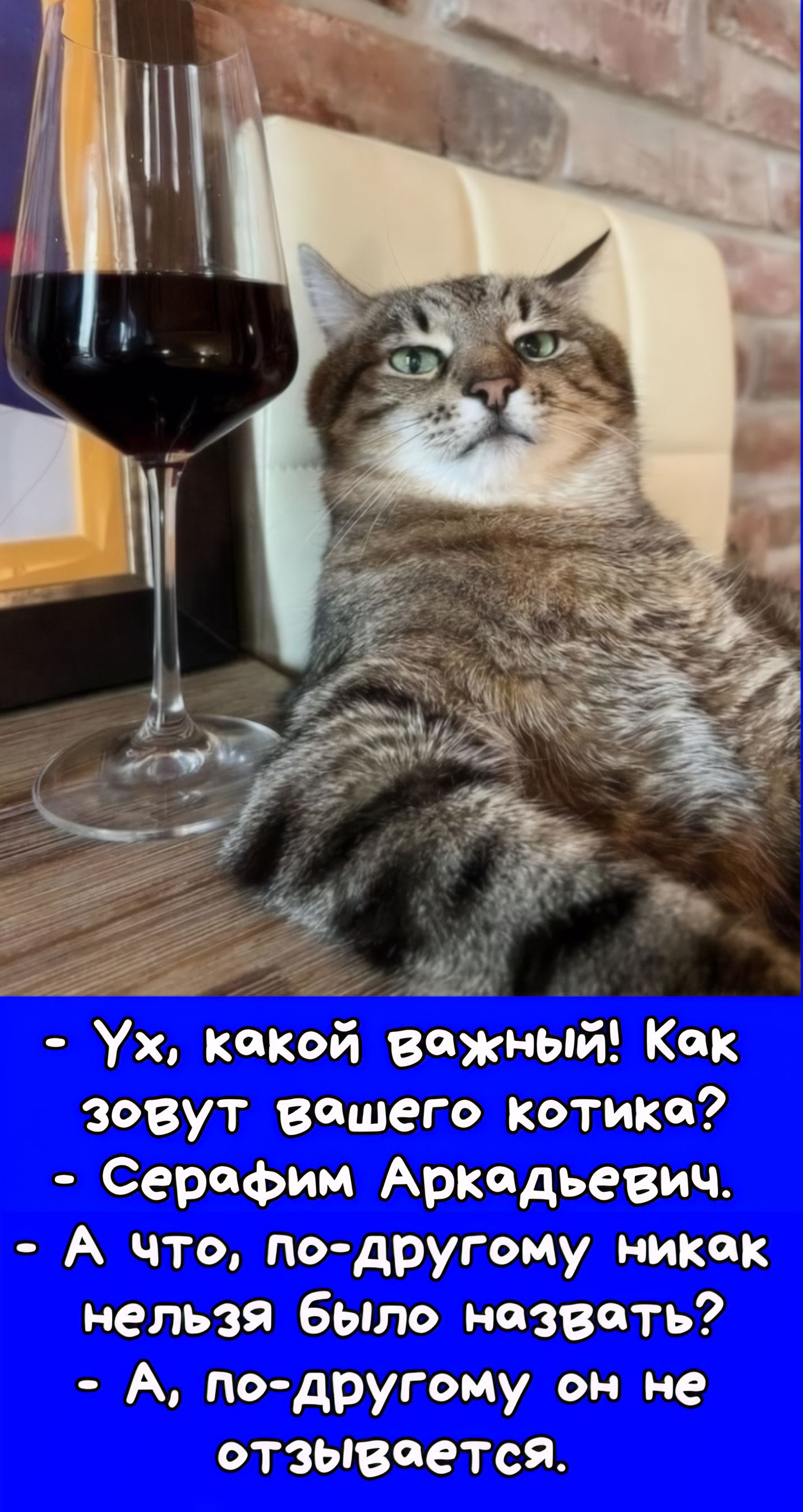 - Ух, какой важный! Как зовут вашего котика? - Серафим Аркадьевич. - А что, по-другому никак нельзя было назвать? - А, по-другому он не отзывается.
