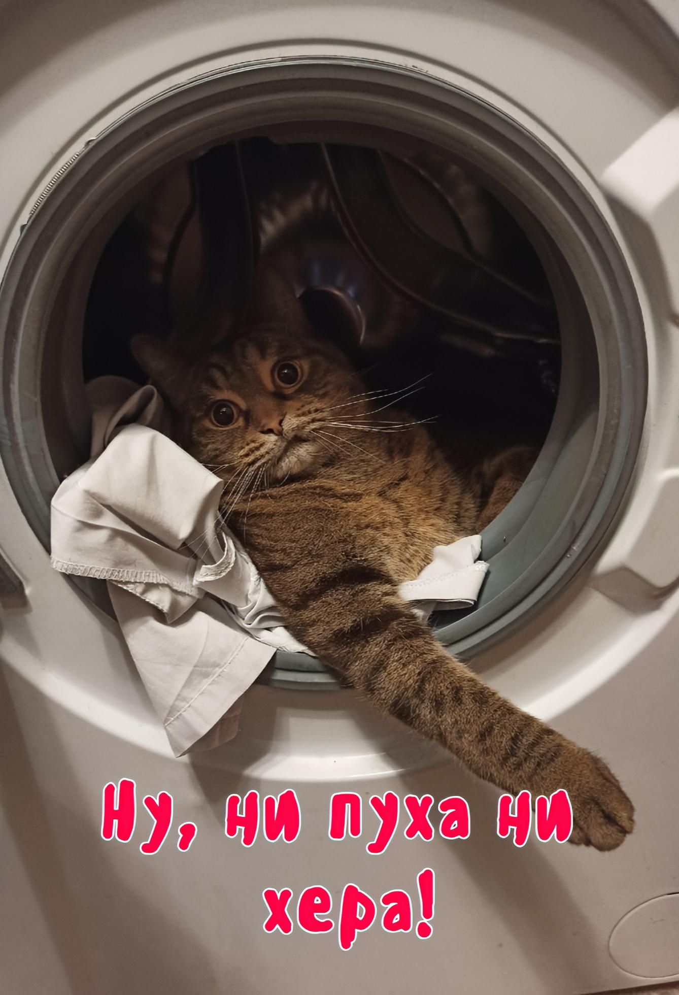 Ну, ни пуха ни хера!