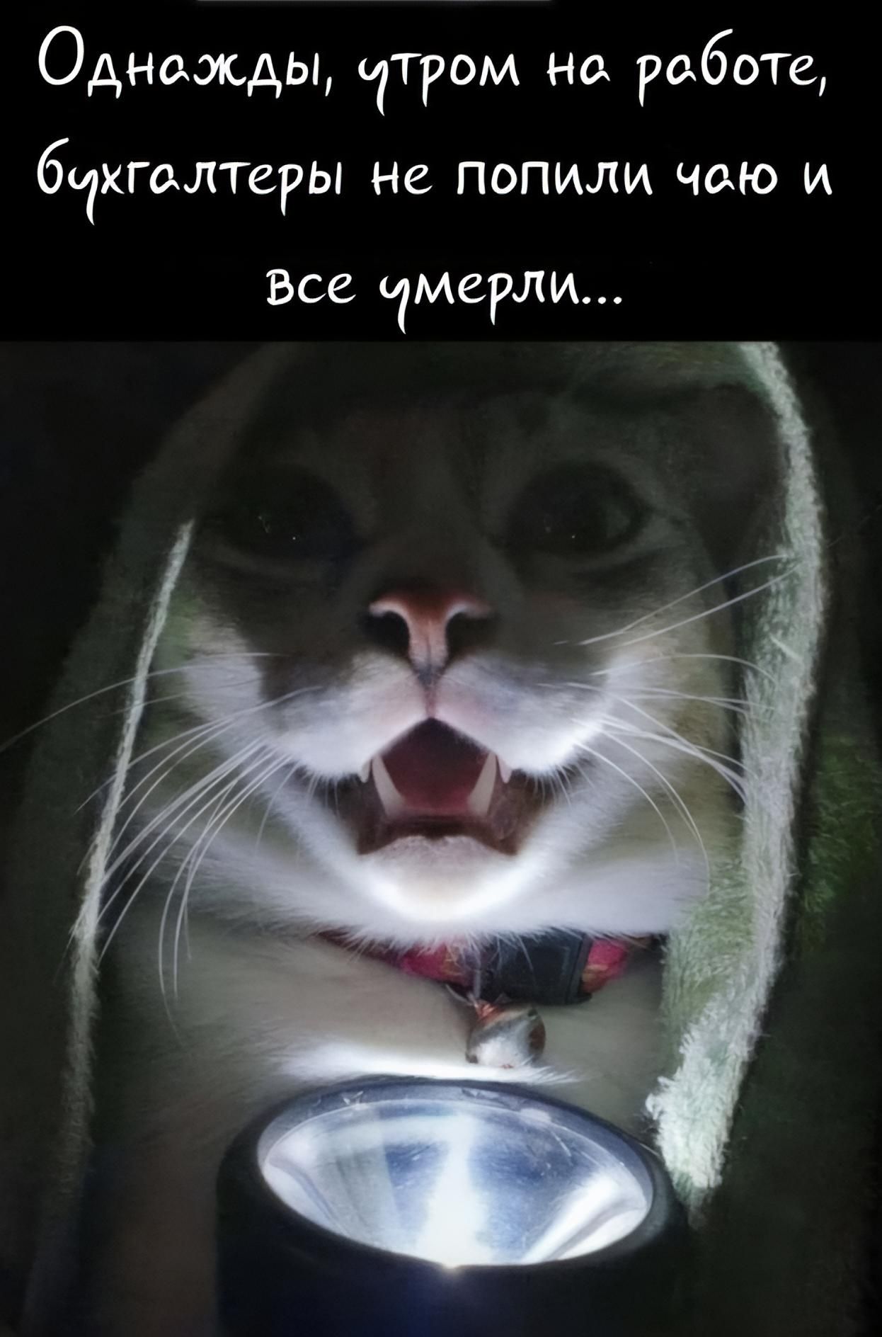 Однажды, утром на работе, бухгалтеры не попили чаю и все умерли...